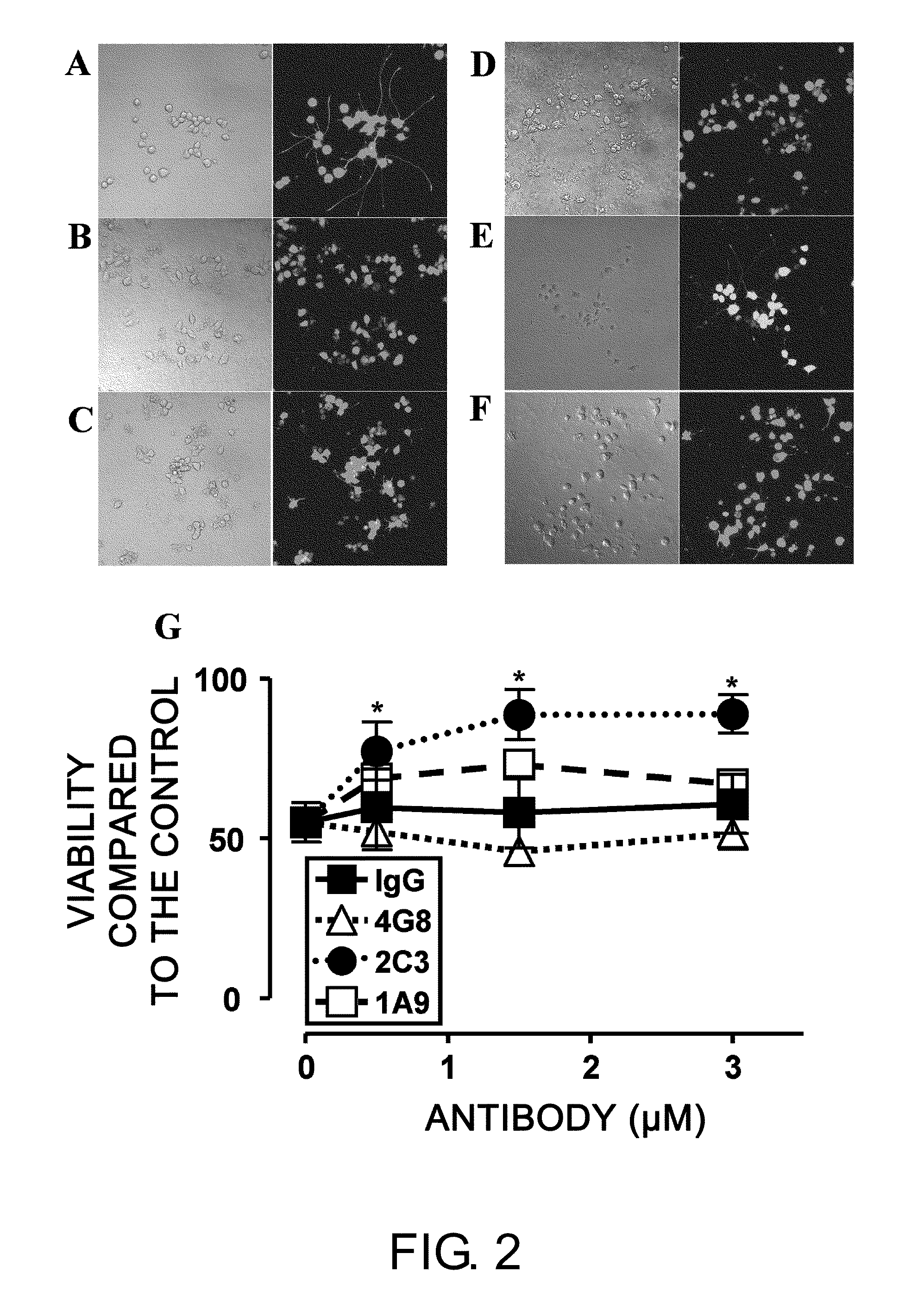 Antibodies That Specifically Bind to Abeta Oligomers and Uses Thereof