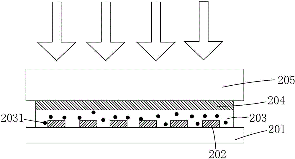Manufacturing method of flexible AMOLED (active matrix/organic light emitting diode) display screen and conductive adhesive film layer