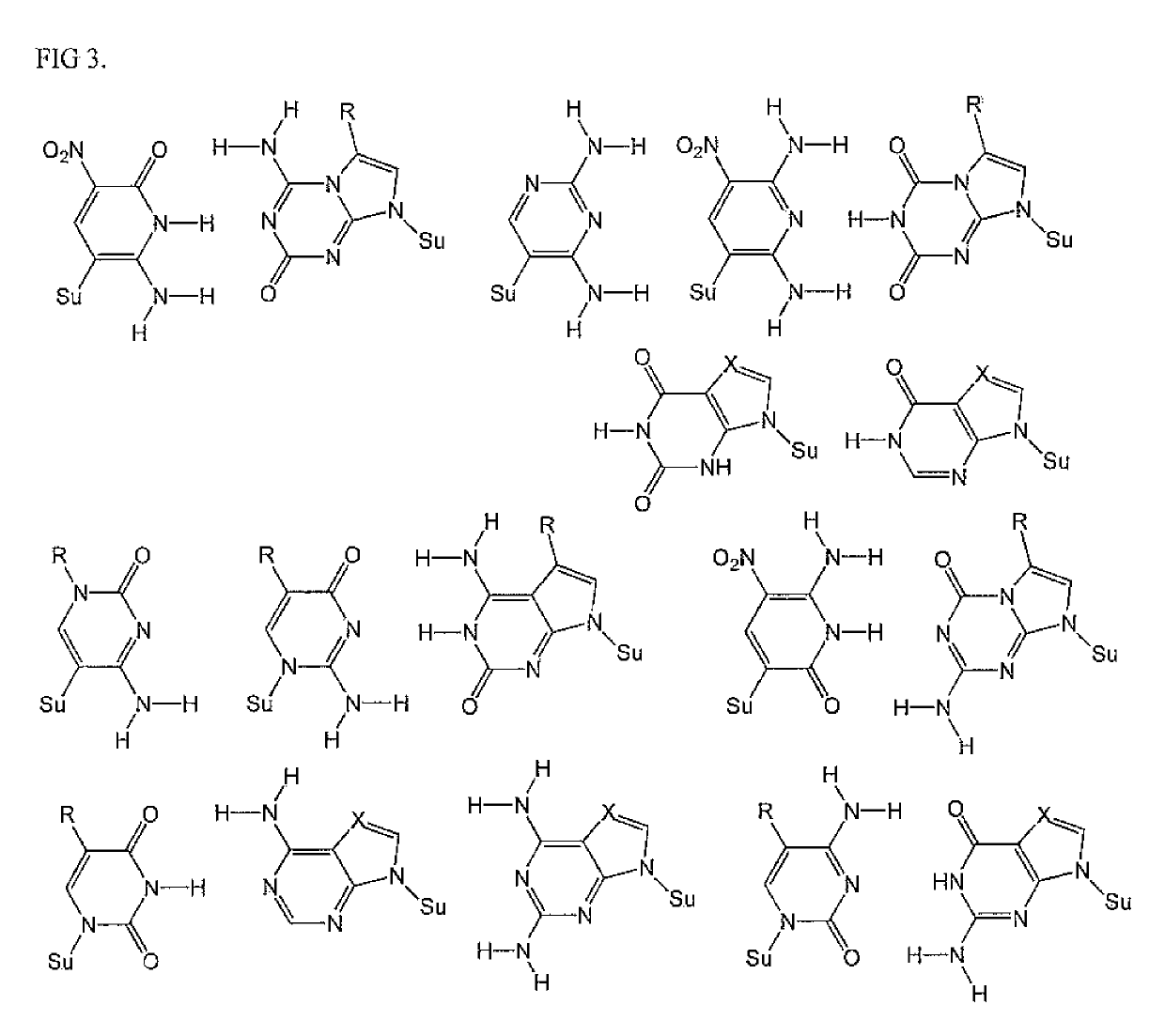 Nucleoside triphosphates with stable aminoxy groups