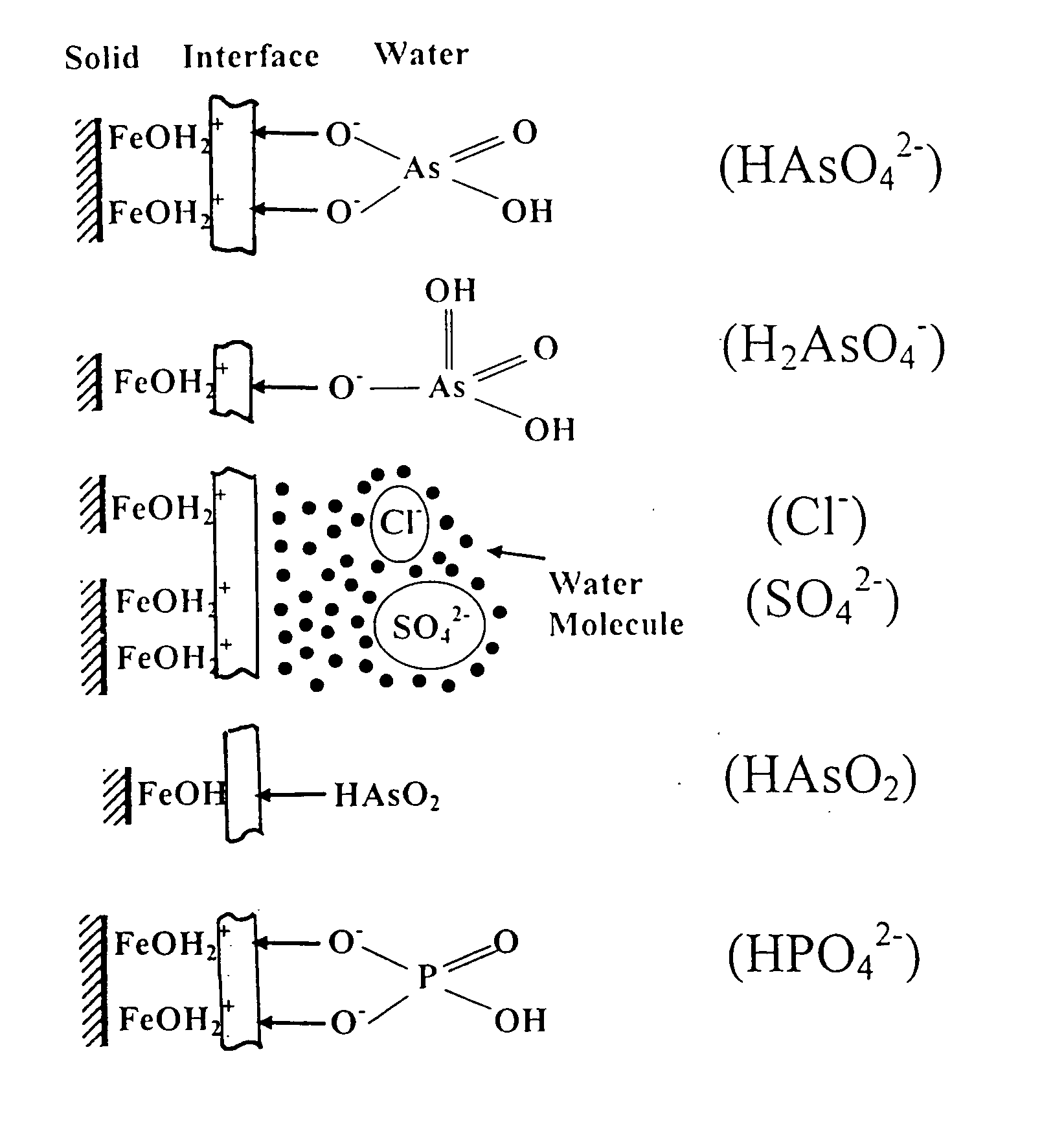 Method of manufacture and use of hybrid anion exchanger for selective removal of contaminating ligands from fluids