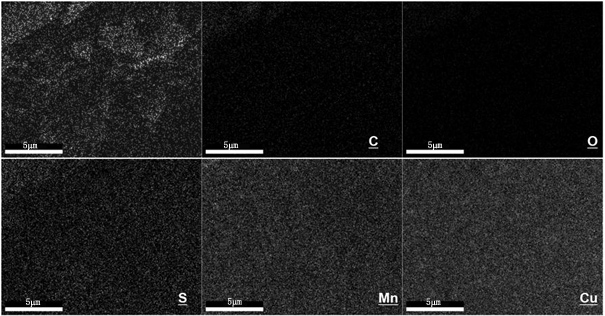 Construction of stamen-type s-doped manganese-copper electrocatalysts based on metal polyphenol-modified sodium alginate/nanocellulose composite aerogels
