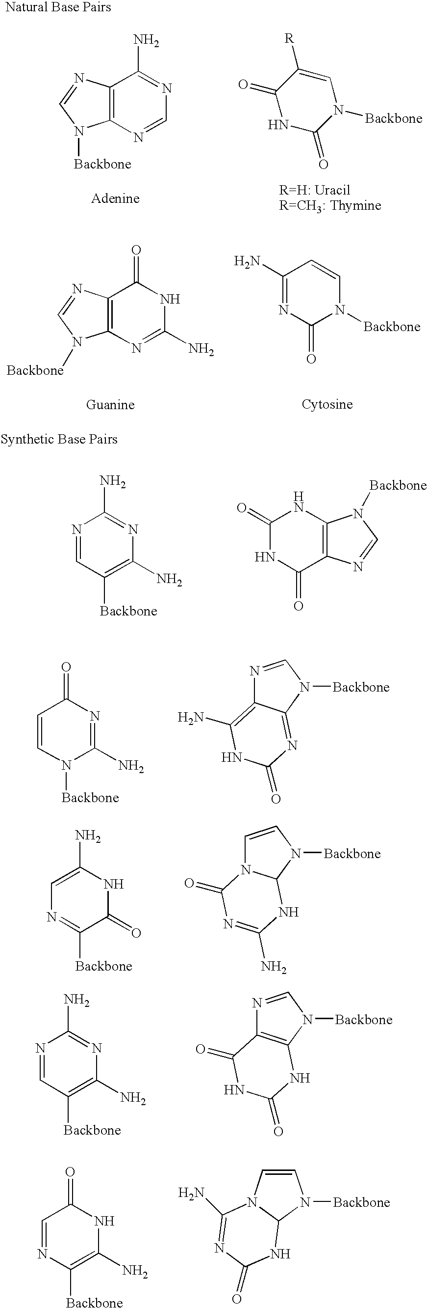 Method for synthesising templated molecules