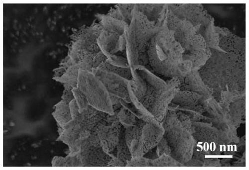 Carbon-coated nickel selenide ultrathin nanosheet composite material and preparation method thereof