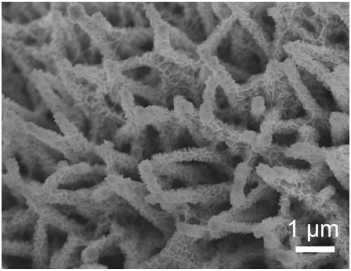 Composite material of nine cobalt octasulfide and titanium dioxide and its preparation method and application