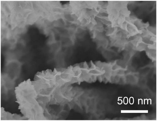 Composite material of nine cobalt octasulfide and titanium dioxide and its preparation method and application