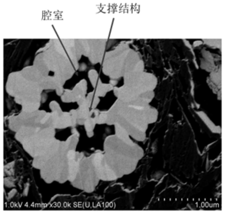 Positive electrode material with multi-cavity structure, preparation method of positive electrode material and lithium ion battery