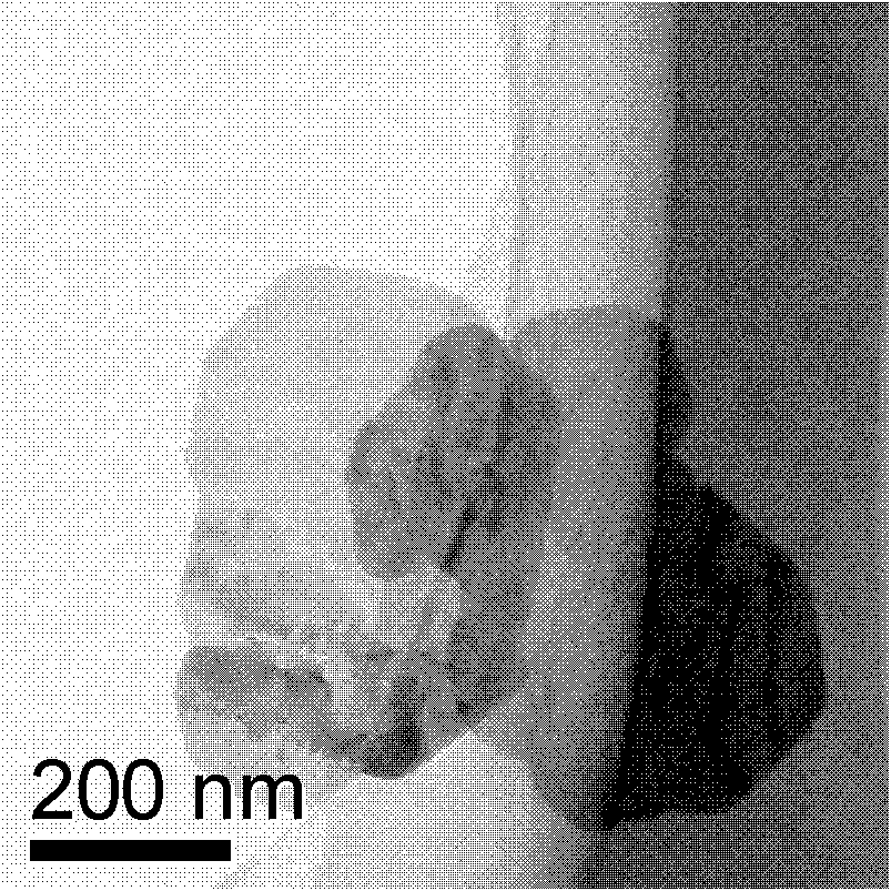 A kind of sheet-like limnpo4 nanocrystal with high proportion of 020 crystal face and preparation method thereof