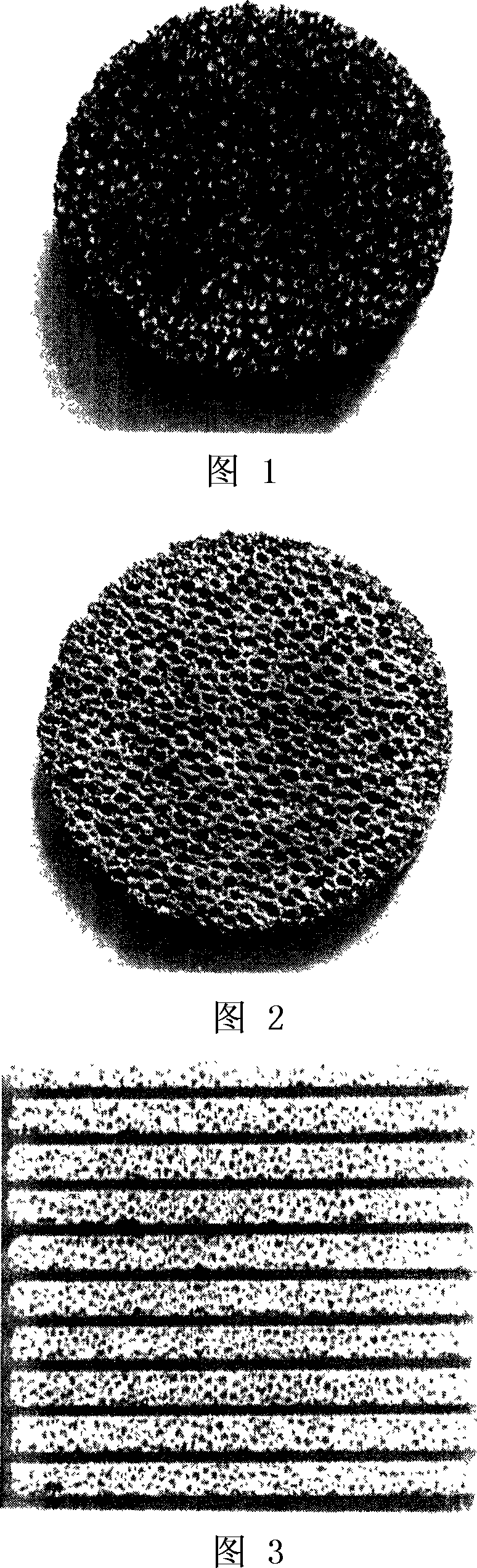 Metal/carbonyl composite foaming material and preparation method thereof
