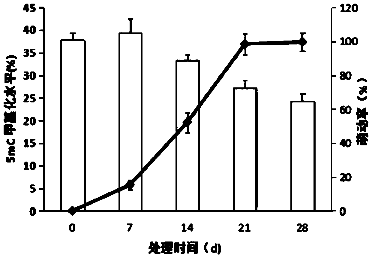 Method for promoting off-season peony flower bud sprouting and branch growth