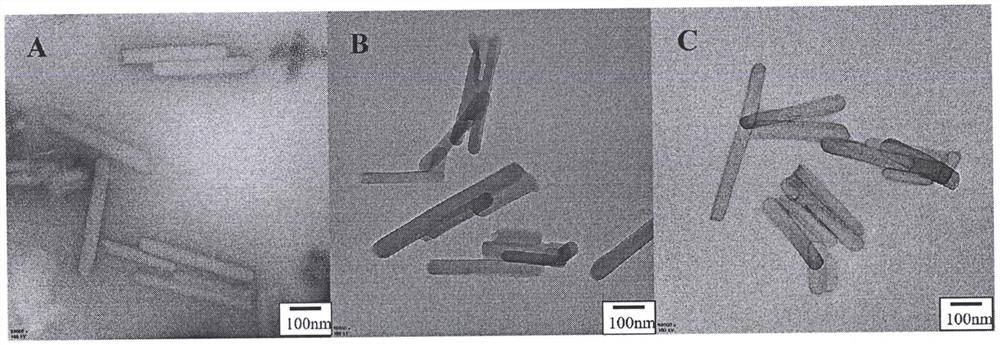 Preparation of nanoparticles with targeting or photo-thermal function based on polytannic acid modification technology