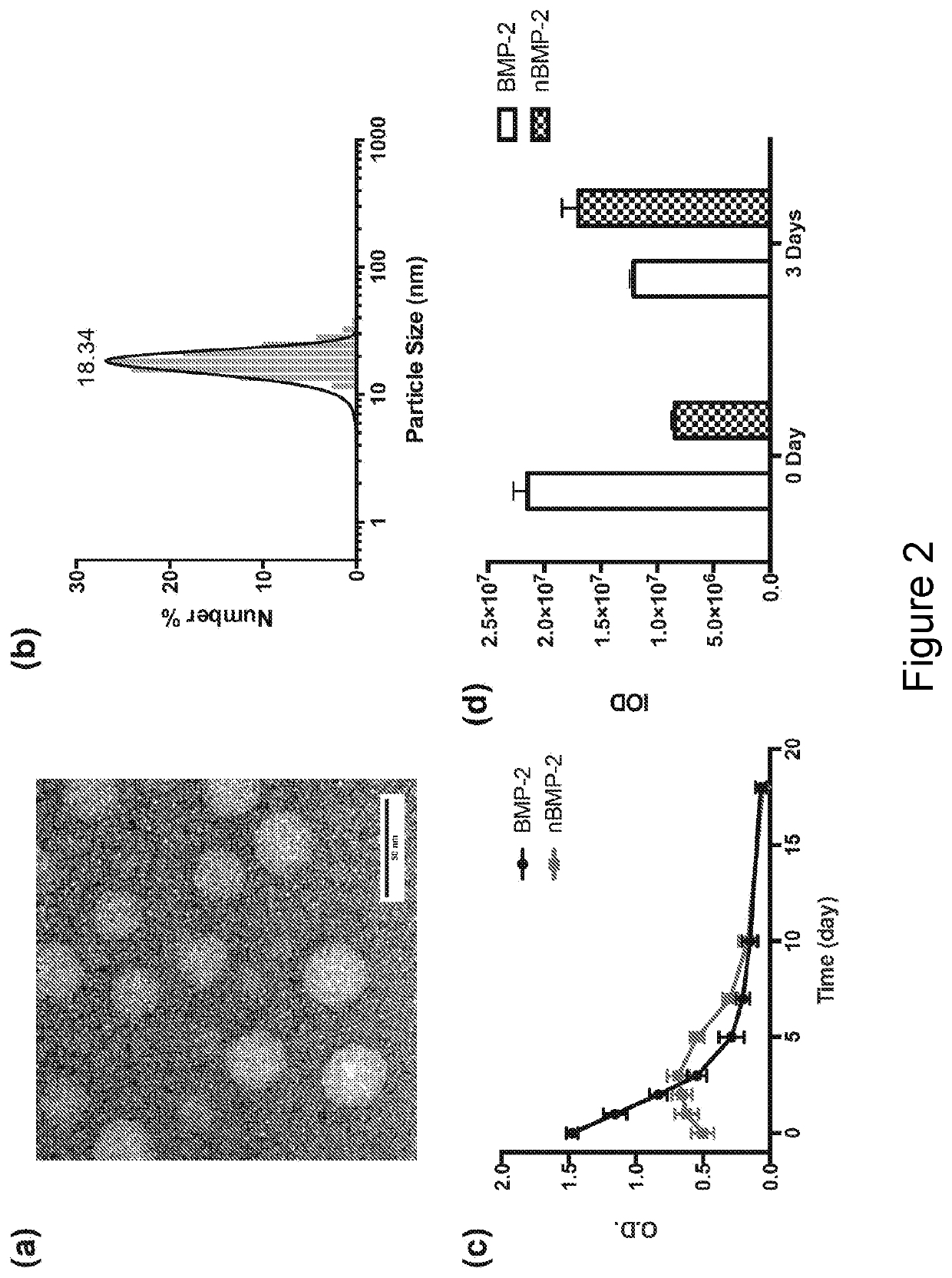 Growth-factor nanocapsules with tunable release capability for bone regeneration
