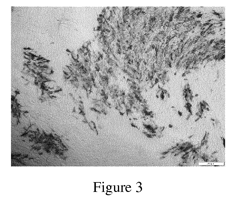 Duck enteritis virus and the uses thereof