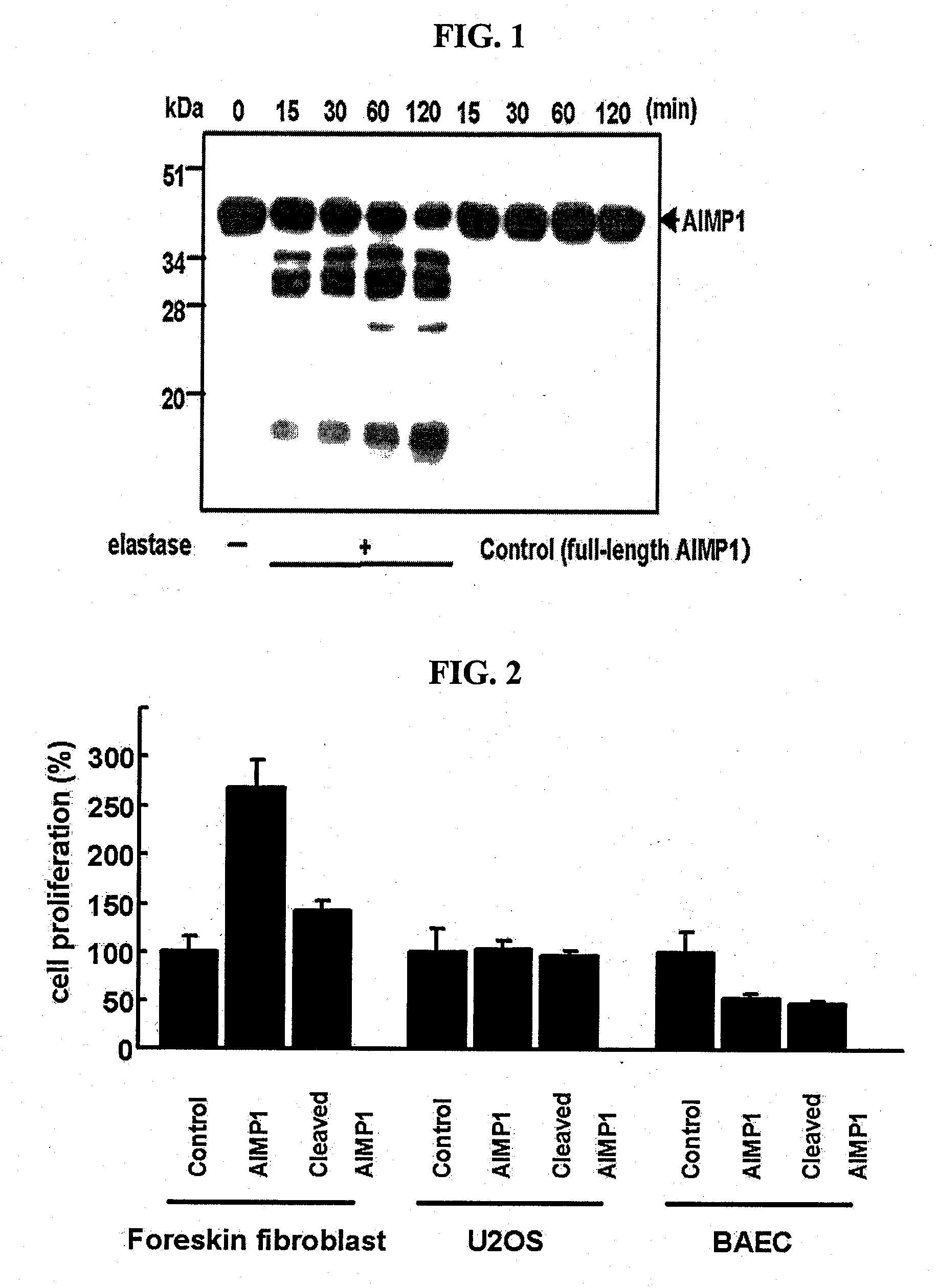 Novel peptide and use thereof