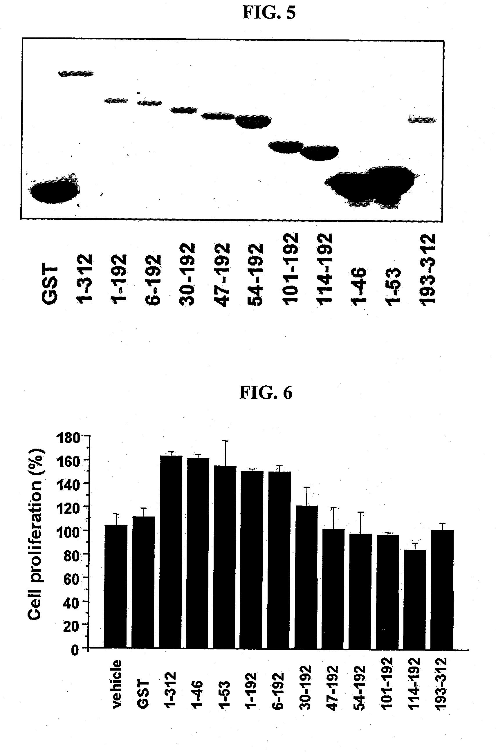 Novel peptide and use thereof