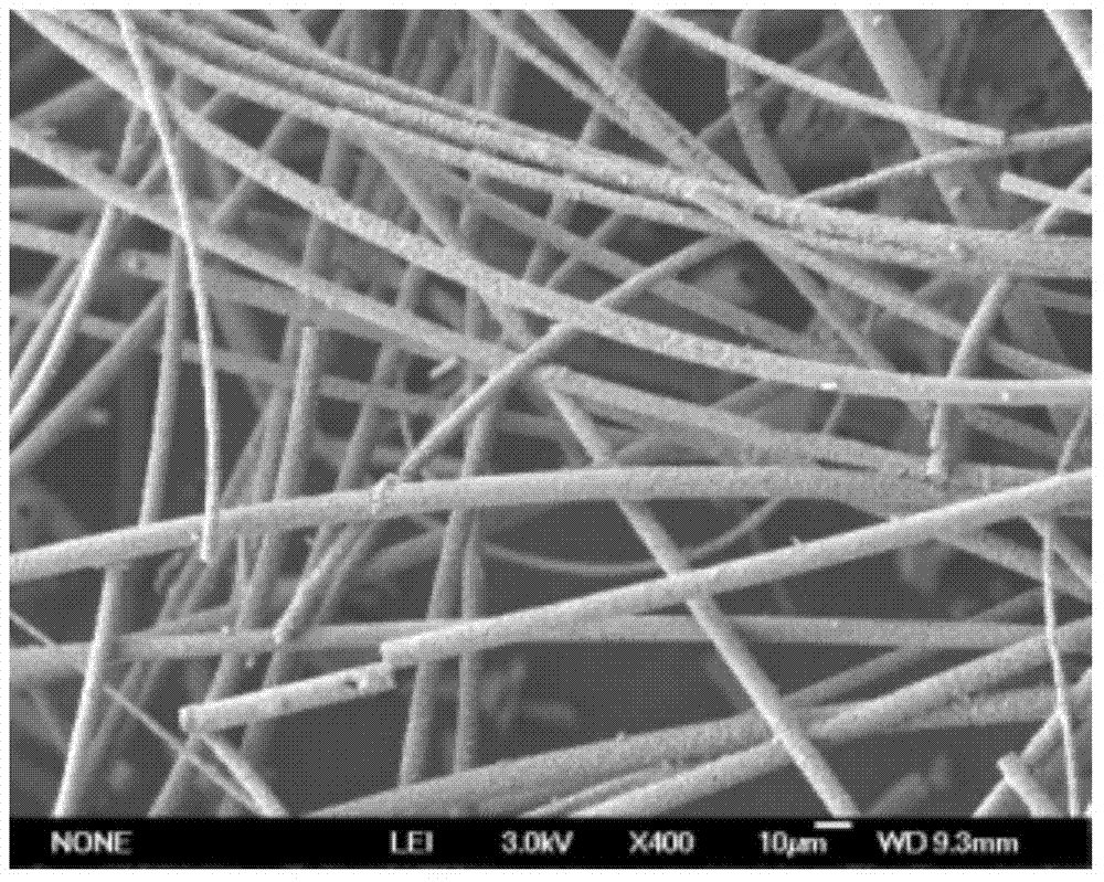 Hollow molecular sieve fiber and preparation method thereof