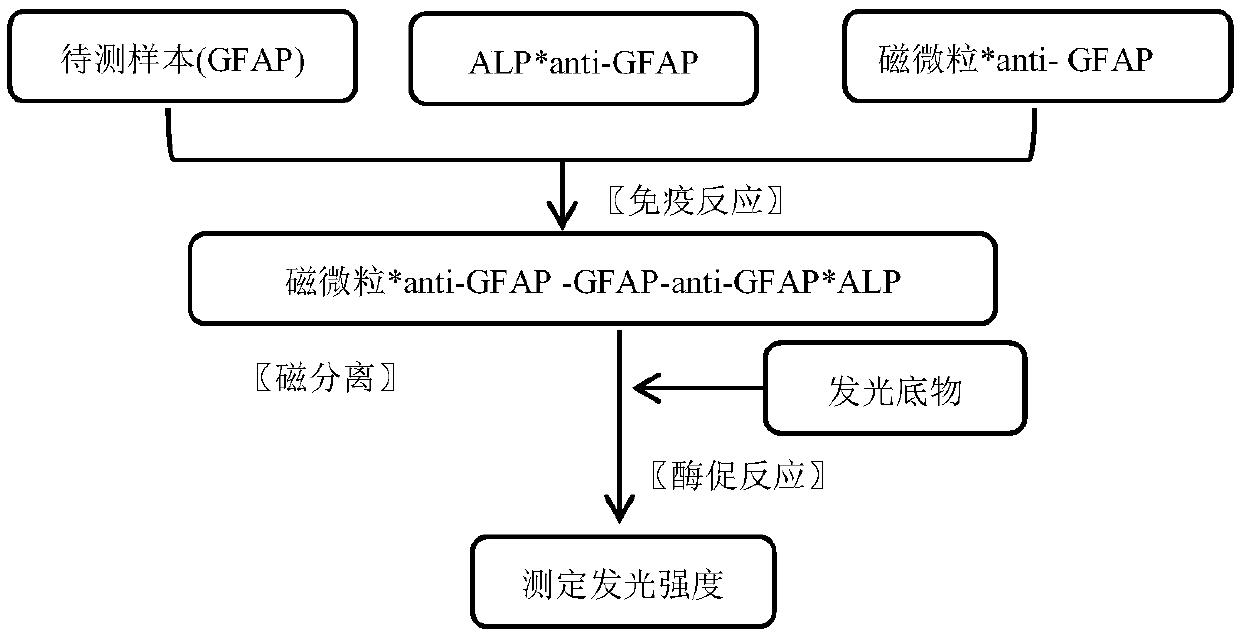 Magnetic-particle separation chemiluminescence immunoassay for detecting glial fibrillary acidic protein (GFAP)