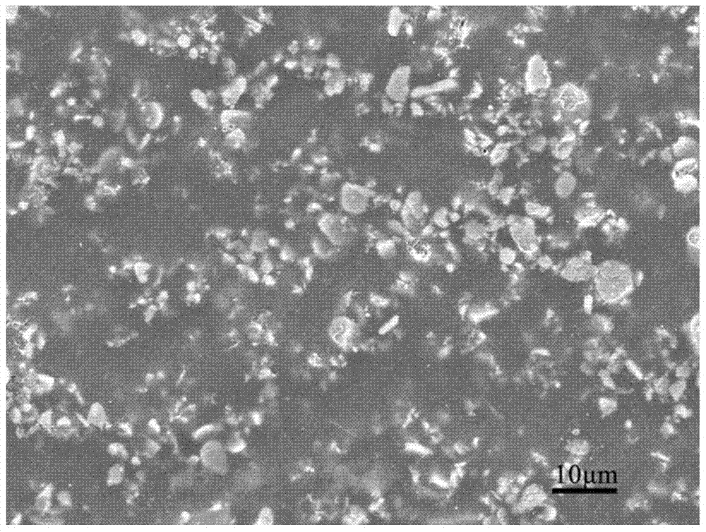 A wear-resistant and anti-seepage epoxy protective coating and preparation method thereof