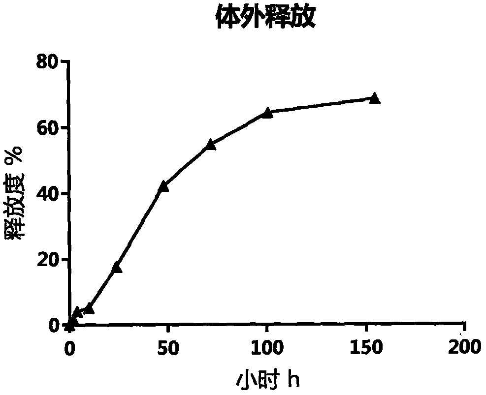 Antineoplastic agent containing hydrophobic chemotherapeutic drug nano-particles and fibrin glue