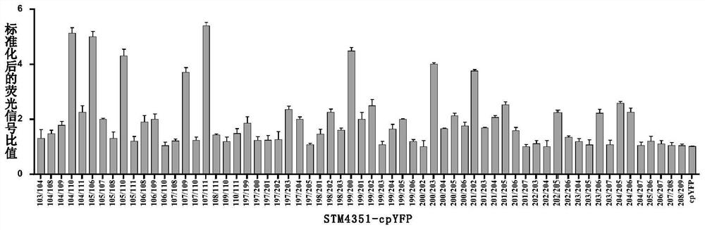 Arginine fluorescent probe and preparation method and application thereof