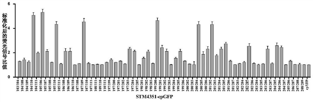 Arginine fluorescent probe and preparation method and application thereof