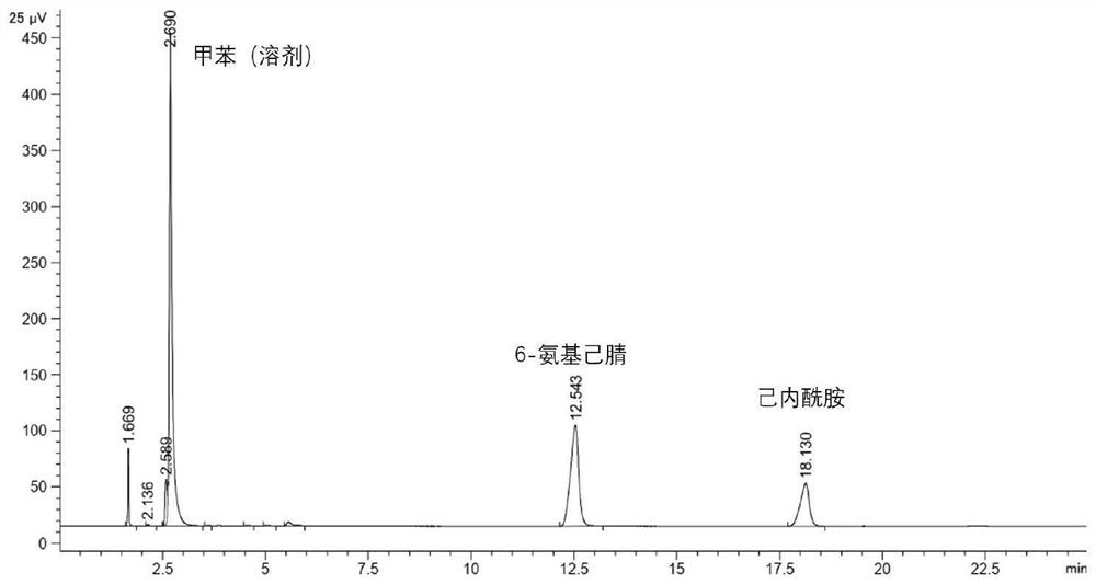 Preparation method and application of 6-aminocapronitrile catalyst prepared by caprolactam ammonification