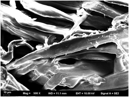 A kind of fluorescent superhydrophobic fiber cloth and preparation method thereof