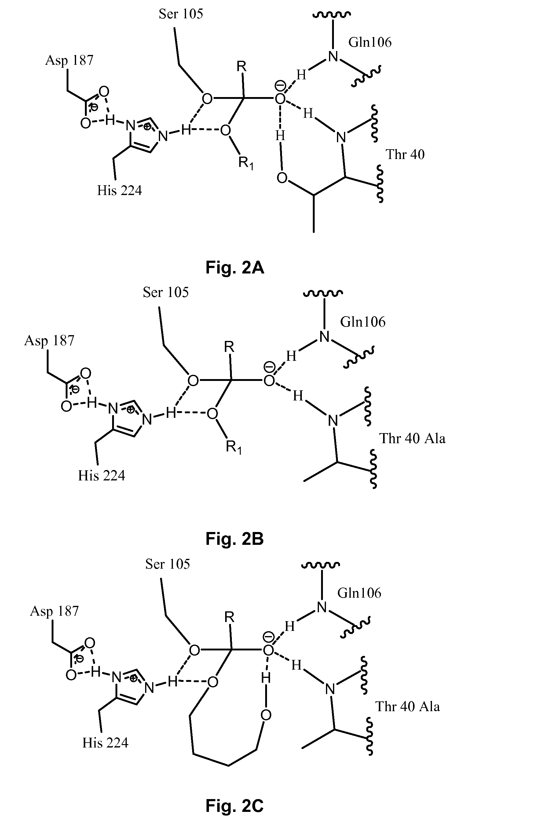 Enzymatically catalyzed method of preparing mono-acylated polyols