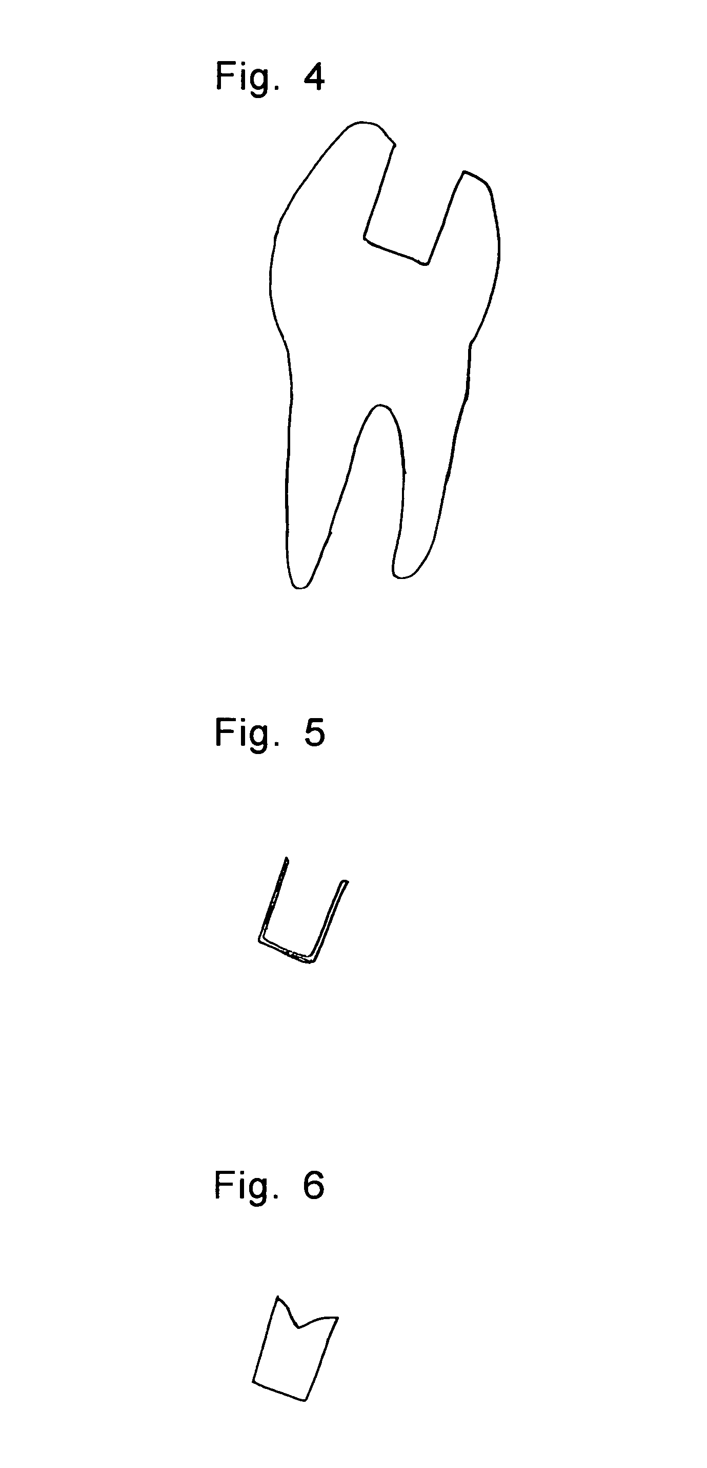 Tooth for jaw tooth model and method for producing the same