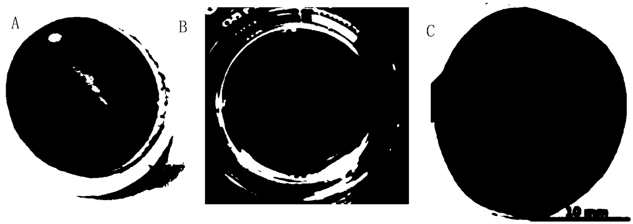 Crystallizing method for unsaturated salt solution on basis of carbon-based material