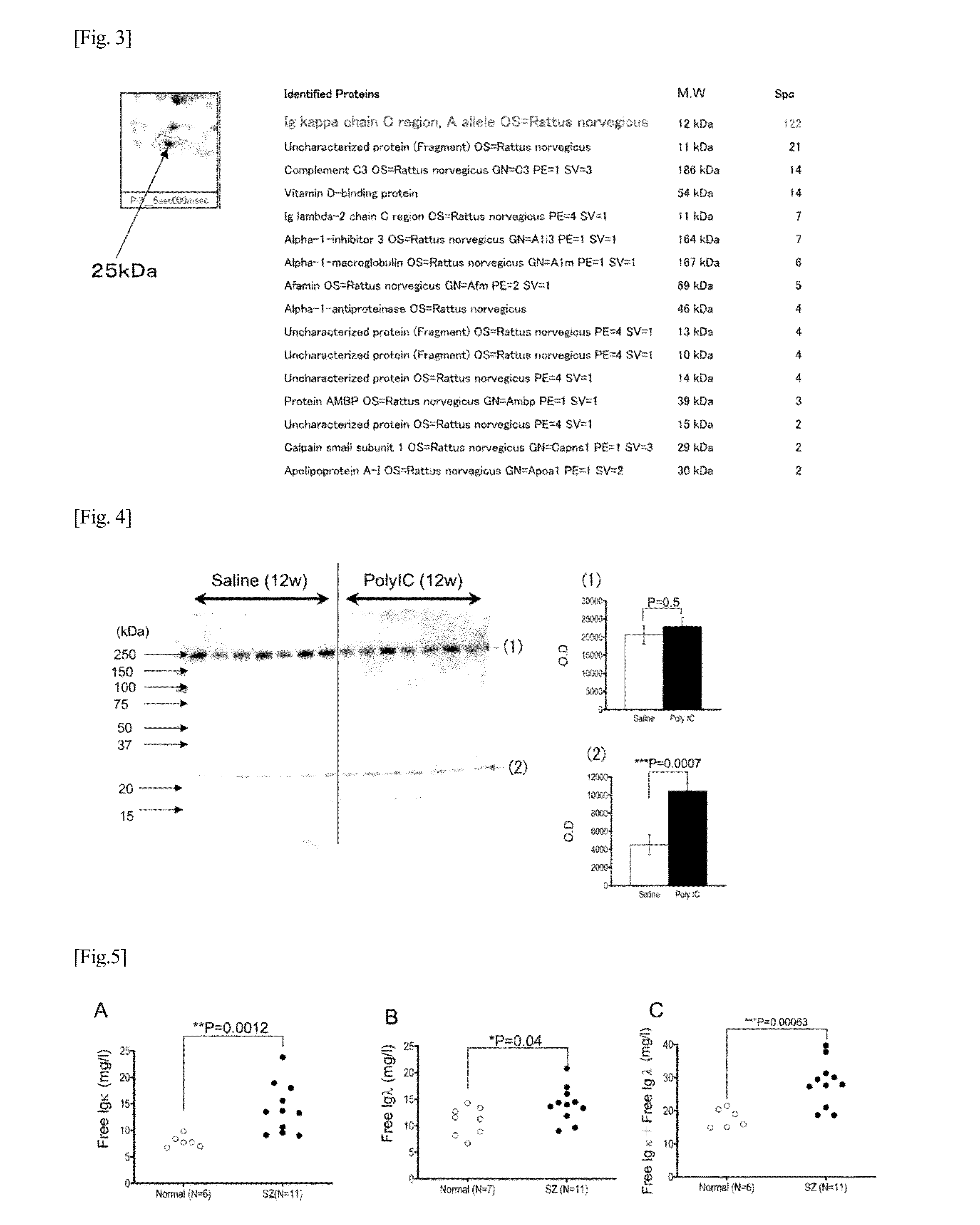 Biomarker for psychiatric and neurological disorders