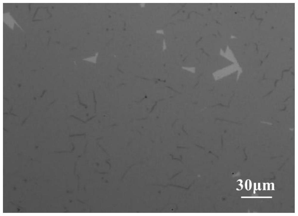 Preparation method of catalyst dual-assisted two-dimensional transition metal chalcogenide film