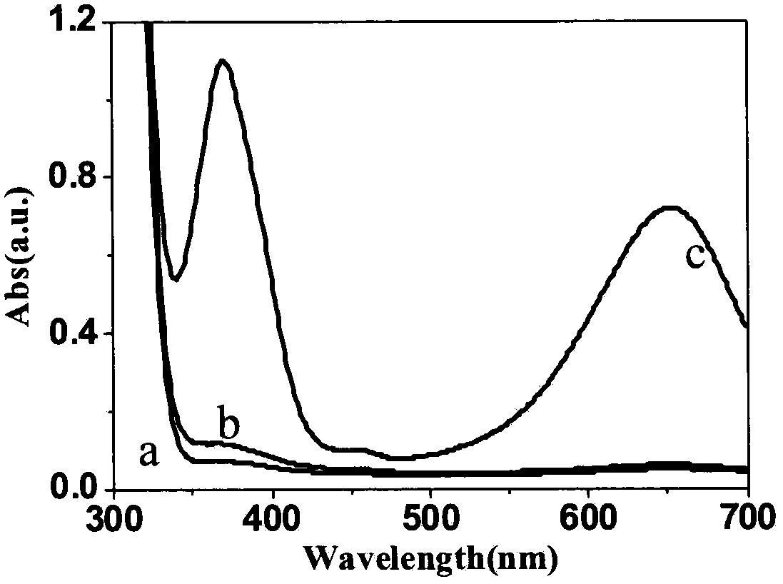 Preparation method of nanocluster mimic enzyme with visible-light activity and use of nanocluster mimic enzyme in colourimetry detection of trypsin