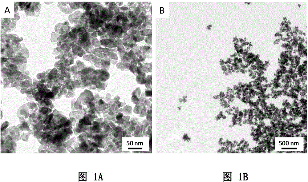 A preparing method of rutile vanadium dioxide nanometer particles and the particles