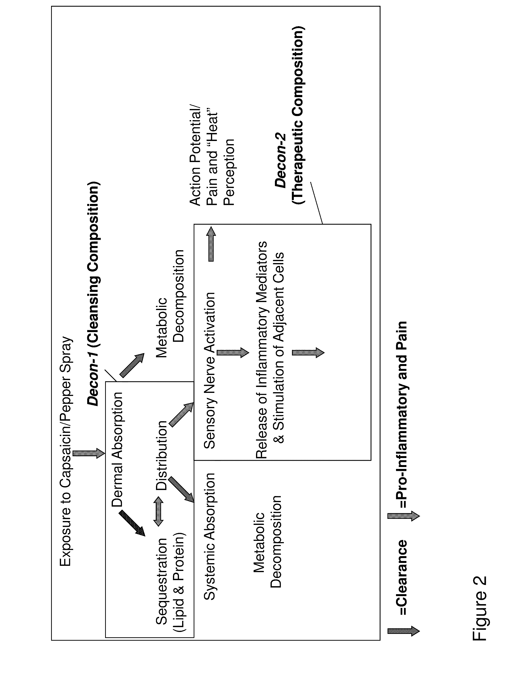 Capsaicinoid decontamination compositions and methods of use