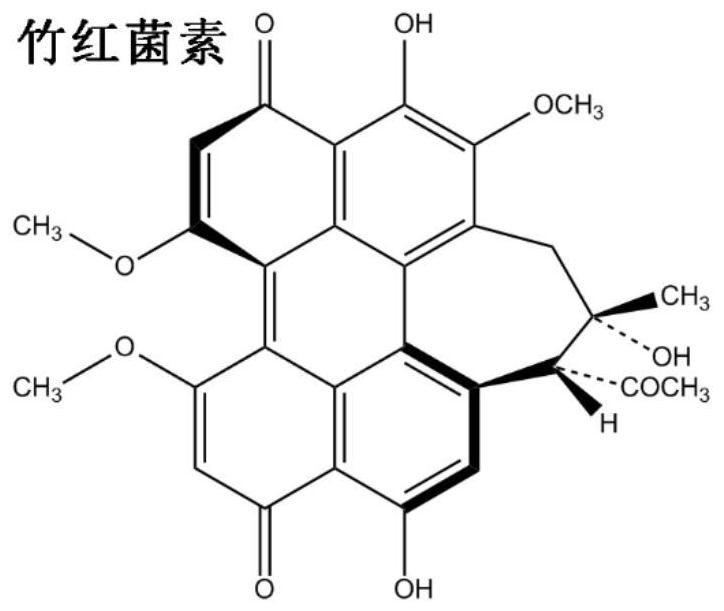 Preparation method of natural photosensitizer hypocrellin nano bactericidal emulsion