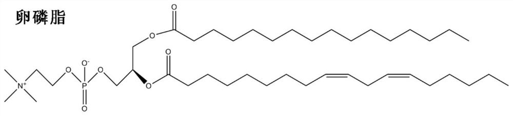 Preparation method of natural photosensitizer hypocrellin nano bactericidal emulsion