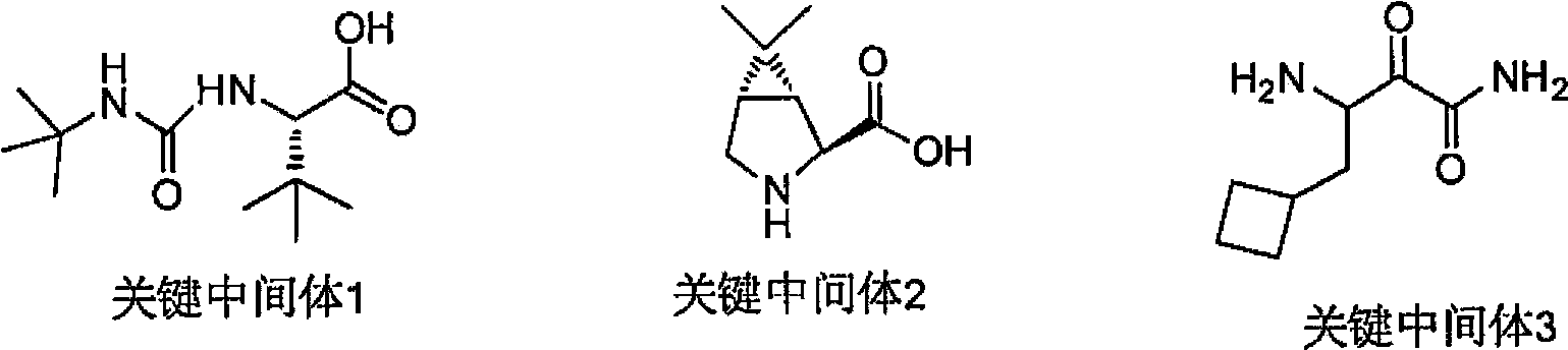 Cyclobutyl-containing alpha-hydroxy-beta-amino ester compound and preparation method thereof