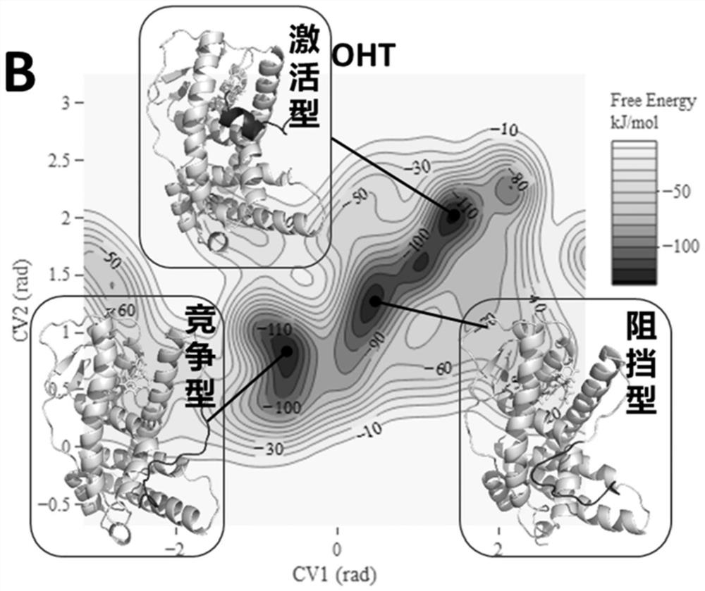 A method for identification of mixed pseudo- and anti-estrogen disruptors based on enhanced sampling molecular dynamics simulation