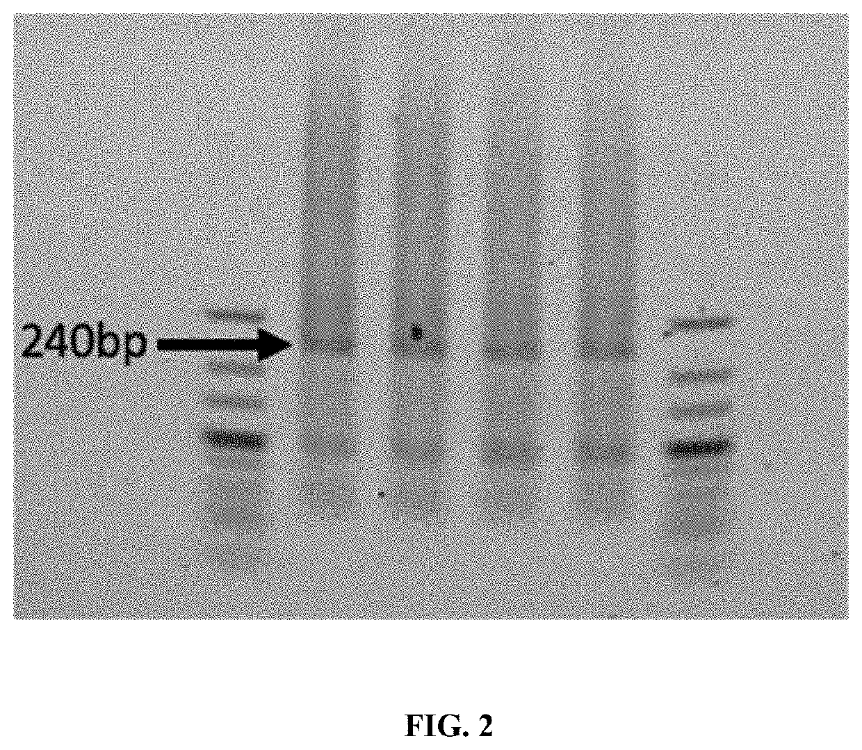 Methods for assembling nucleic acids