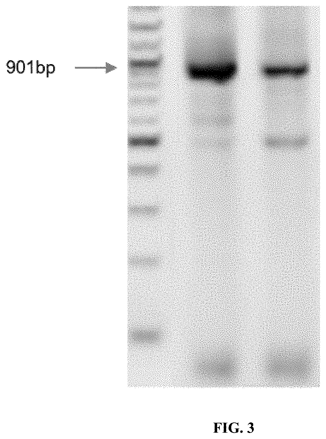 Methods for assembling nucleic acids