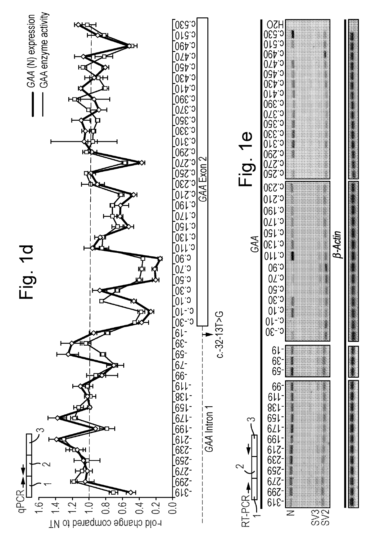 Natural Cryptic Exon Removal by Pairs of Antisense Oligonucleotides