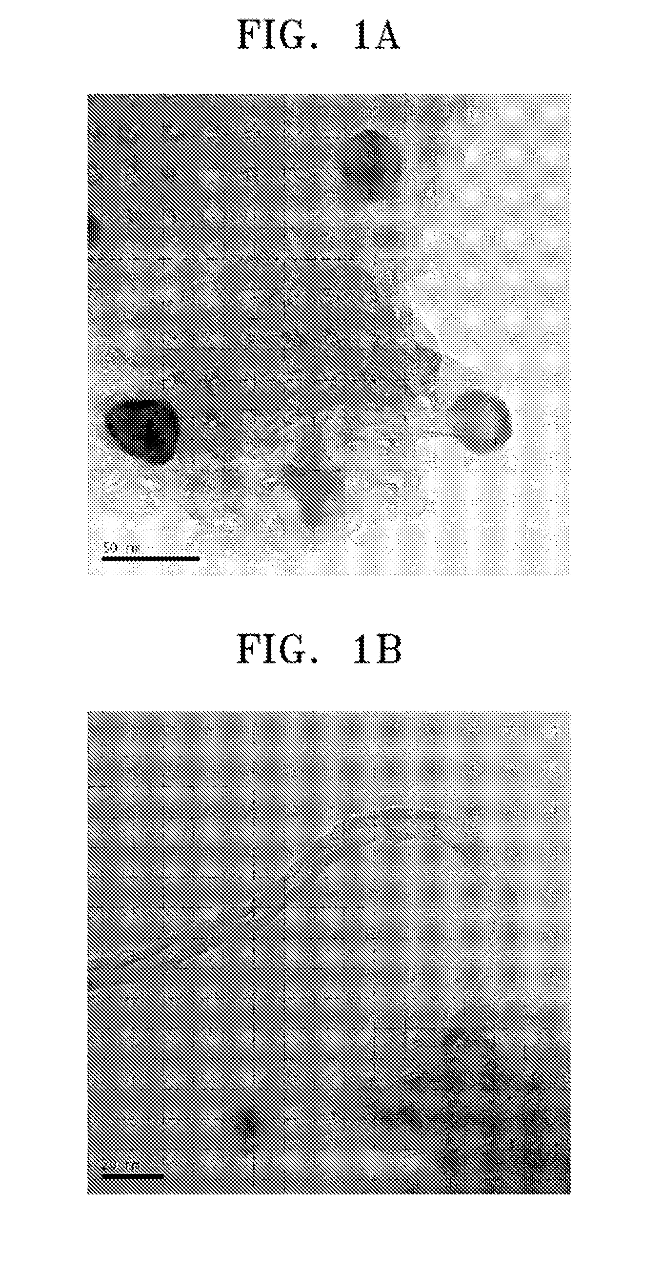 Carbon nanotube hybrid system using carbide-derived carbon, a method of making the same, an electron emitter comprising the same, and an electron emission device comprising the electron emitter