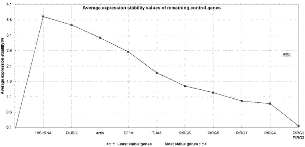 Method for screening reference genes related to regulation and control of poplar stress resistance gene expression