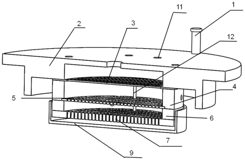 A Highly Efficient Plasma Gas-Liquid Discharge System