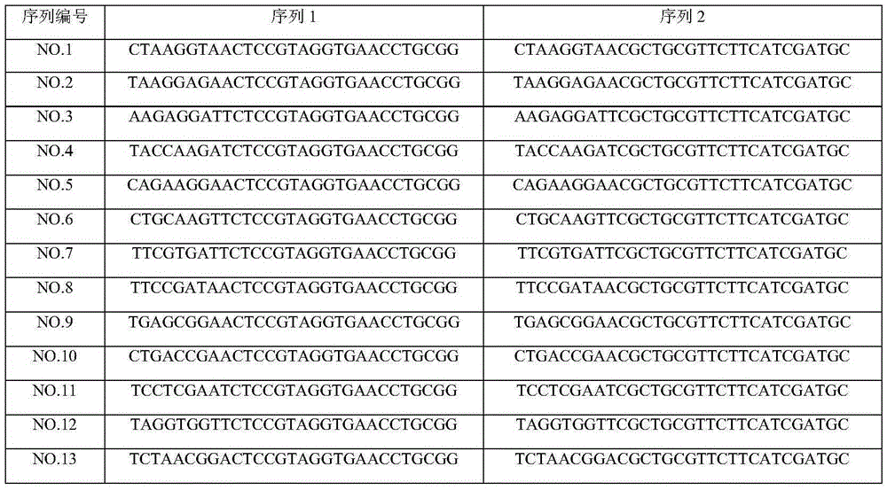 Composite tag for high-throughput sequencing of biological diversity of fungi in environment and application of composite tag