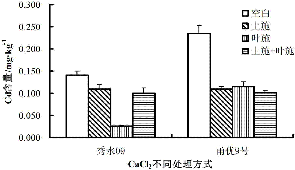 Application of soluble calcium salt to alleviation of accumulation of heavy metal cadmium in rice