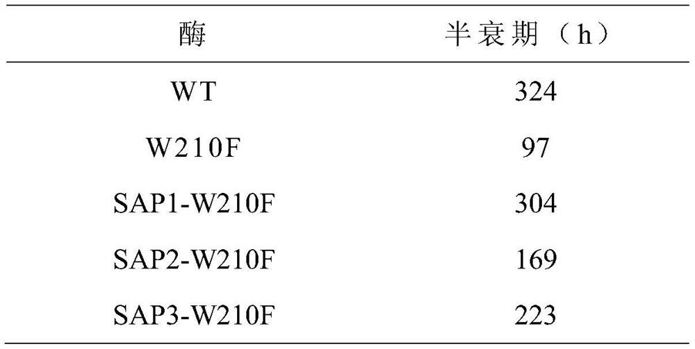 A kind of strain producing maltogenic amylase