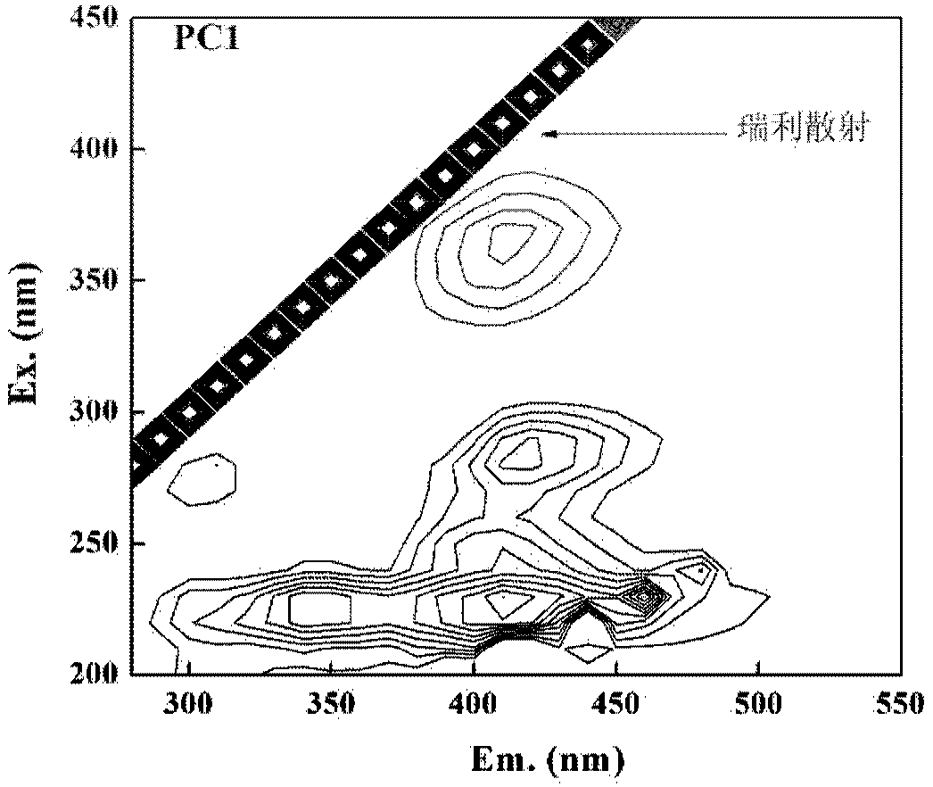 Method for Simultaneous Detection of Particulate Organic Matter and Dissolved Organic Matter in Water Body