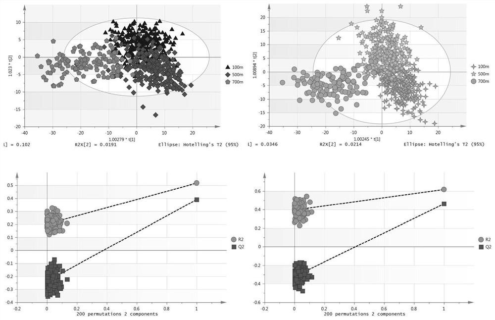 Application of metabonomics analysis technology to discriminating spatiotemporal classification of Danxiangxiangduncong tea