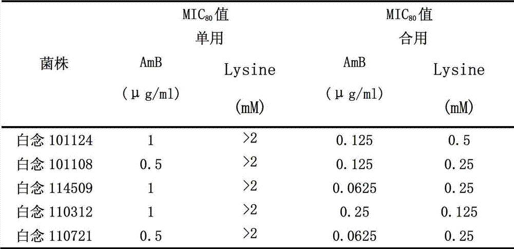 Application of lysine as synergist for preparing antifungal drug